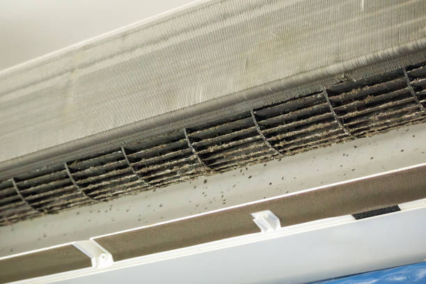 Best Commercial HVAC Duct Cleaning  in Westview, FL